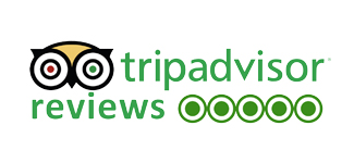 TripAdvisor  Reviews